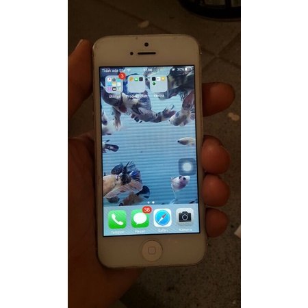 iPhone 5g 16gb lupa pasword icloud