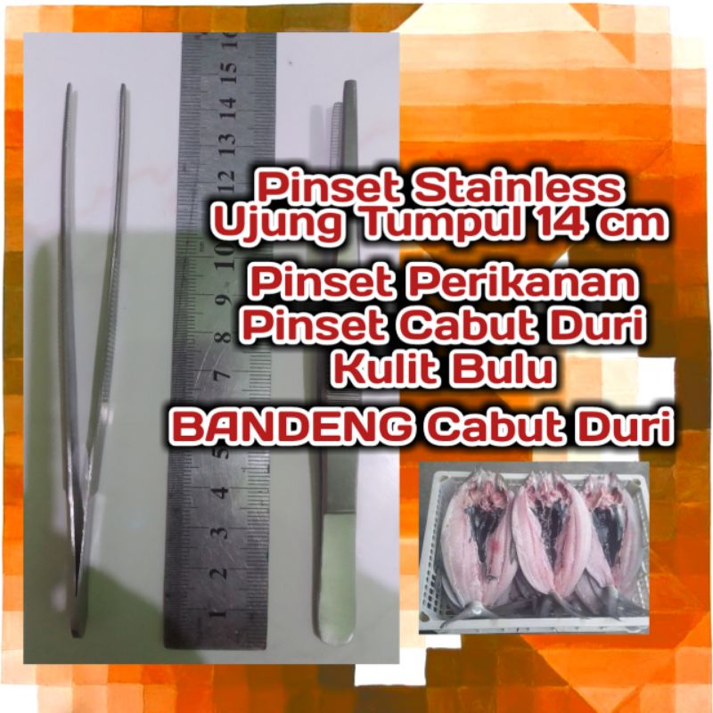 pinset cabut duri, pinset bandeng cabut duri, alat cabut duri bandeng, pinset ikan, pinset perikanan