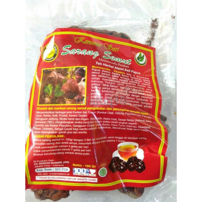 

Murah SARANG SEMUT ASLI PAPUA KENCONO SARI