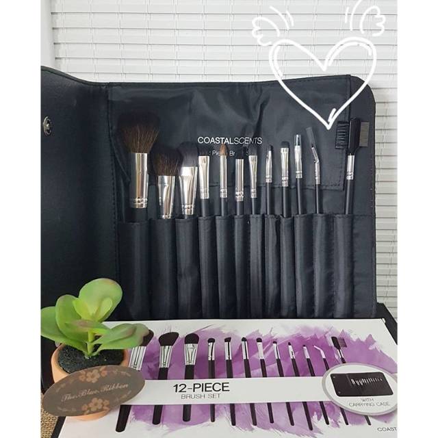 COASTAL SCENTS 12 PIECE BRUSH SET