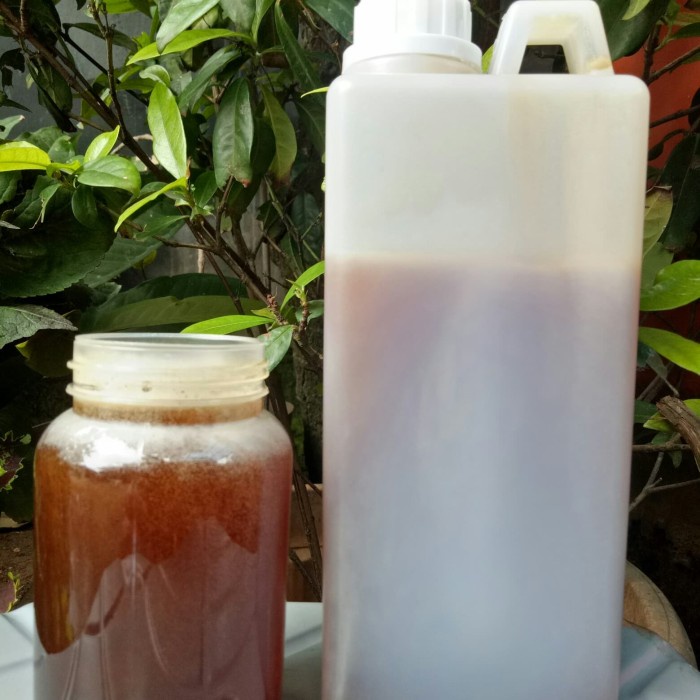 

madu- madu hutan sumatra sialang 1kg murni -madu.