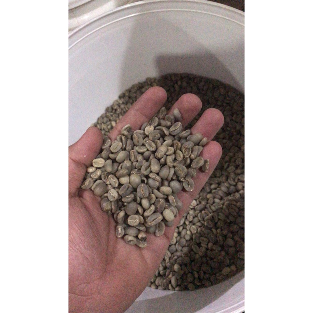 

kopi aceh gayo green bean