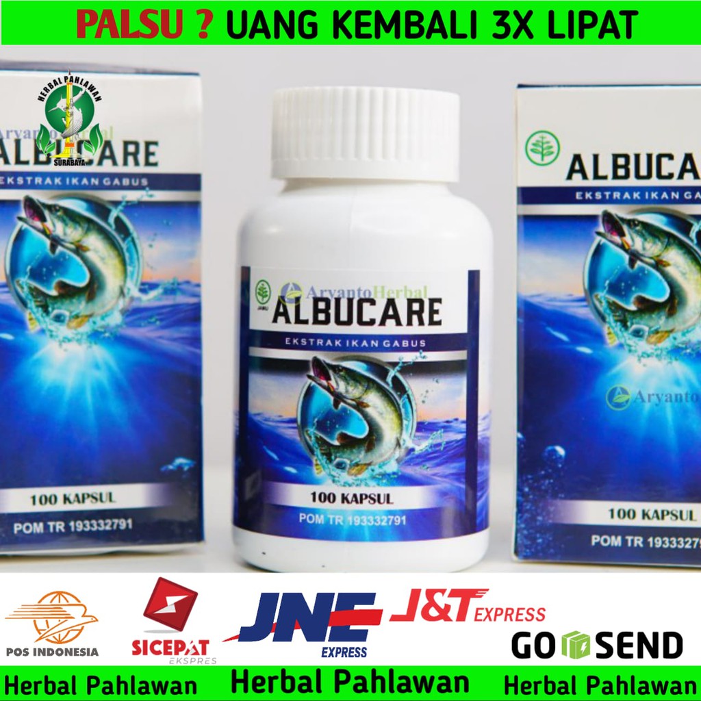 Albucare Minyak Ikan Gabus Asli Original Surabaya Shopee Indonesia