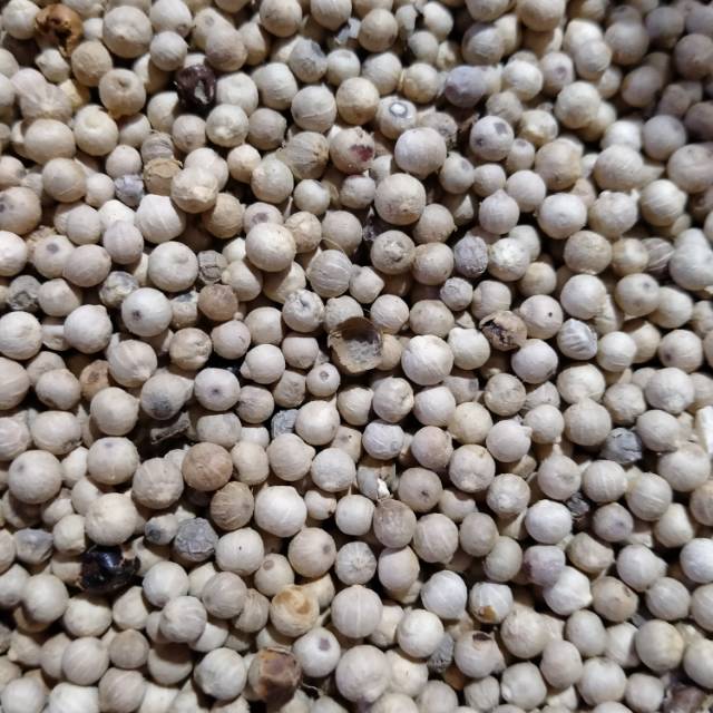 

Merica utuh 50gr/100gr.