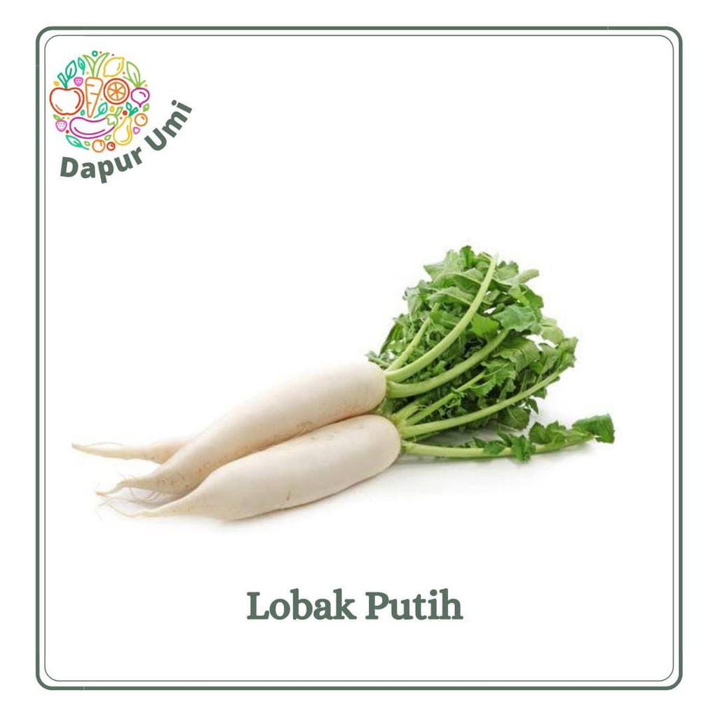 

LOBAK PUTIH - SAYUR SAYURAN SEGAR PURWAKARTA