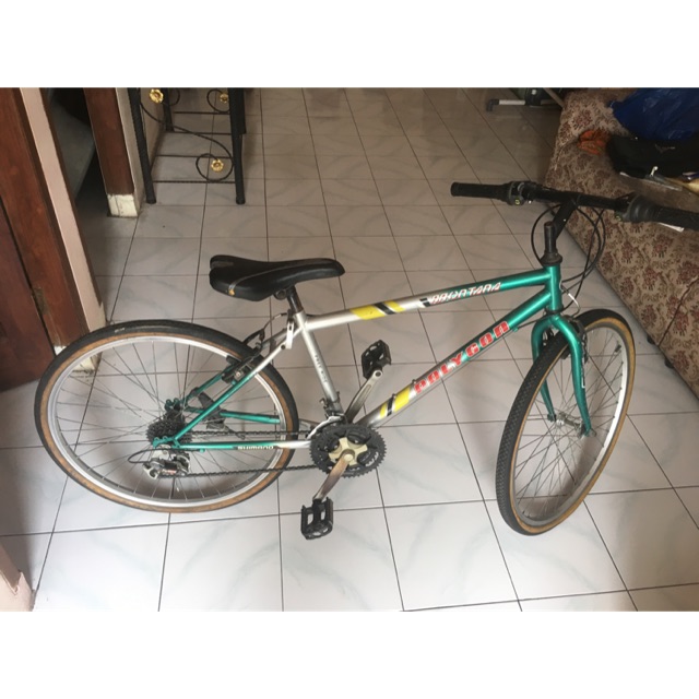 Sepeda Polygon Montana
