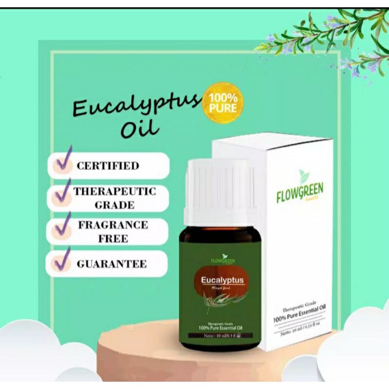eucalyptus essential oil aromatheraphy humidifier flowgreen