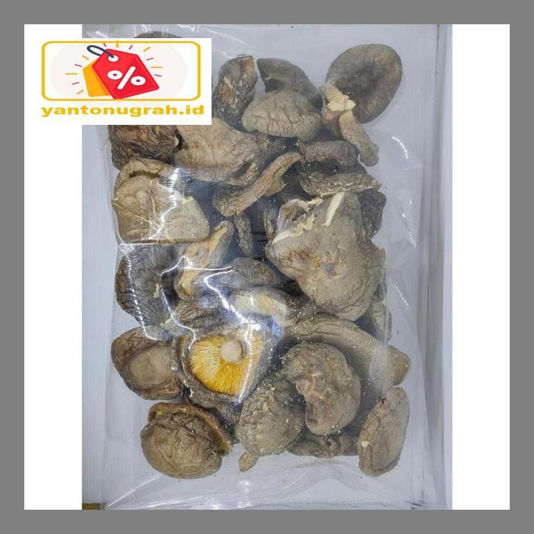 

S50Mkkar Jamur Hioko - Shitake - Kering - Besar - Shiitake 250 Gr Dr05Ytd