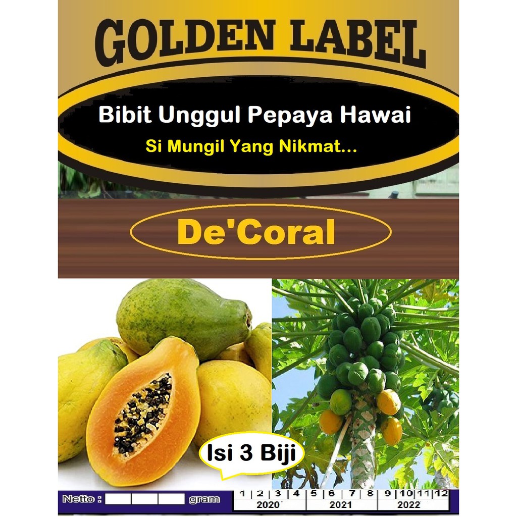 Bibit Unggul Pepaya Hawai | Benih Pepaya Hawai | Pepaya Mungil | Bibit Pepaya Solo