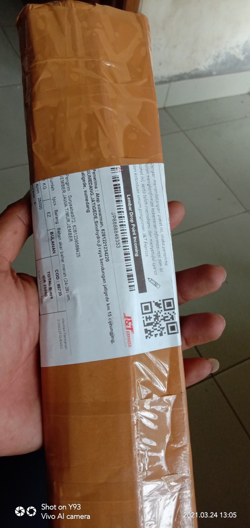 Bahan Akar Bahar Merah (24-29) Cm