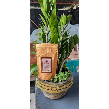 

The Sultan Raden kopi Organik Pekuolan
