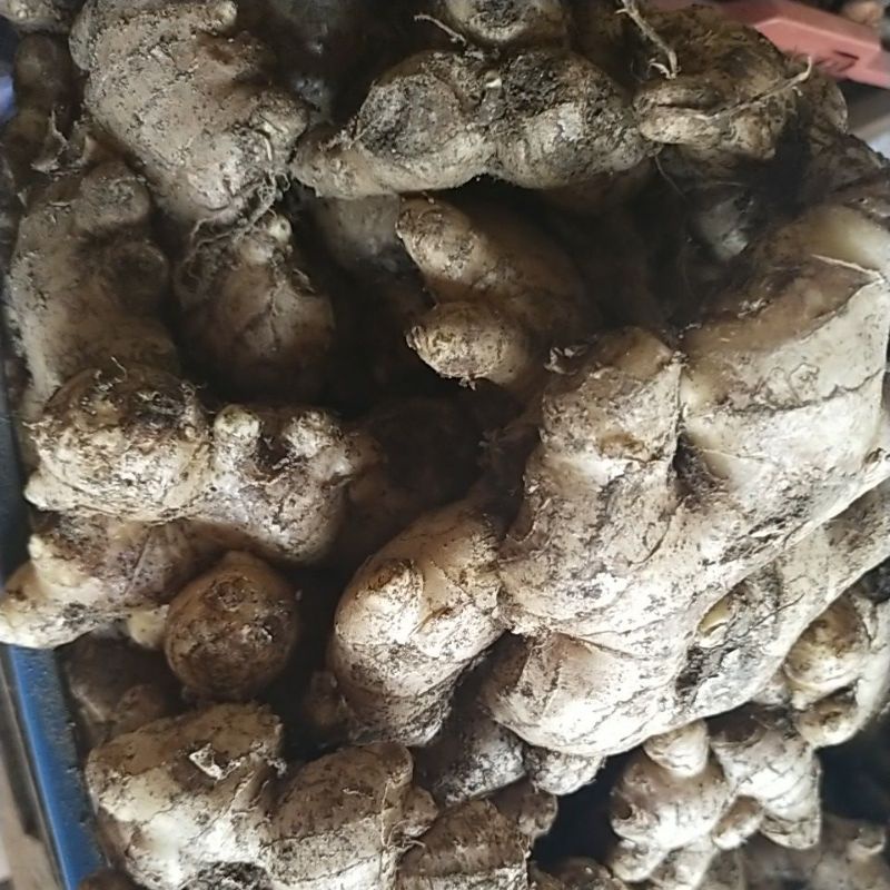 

jahe ¼kg
