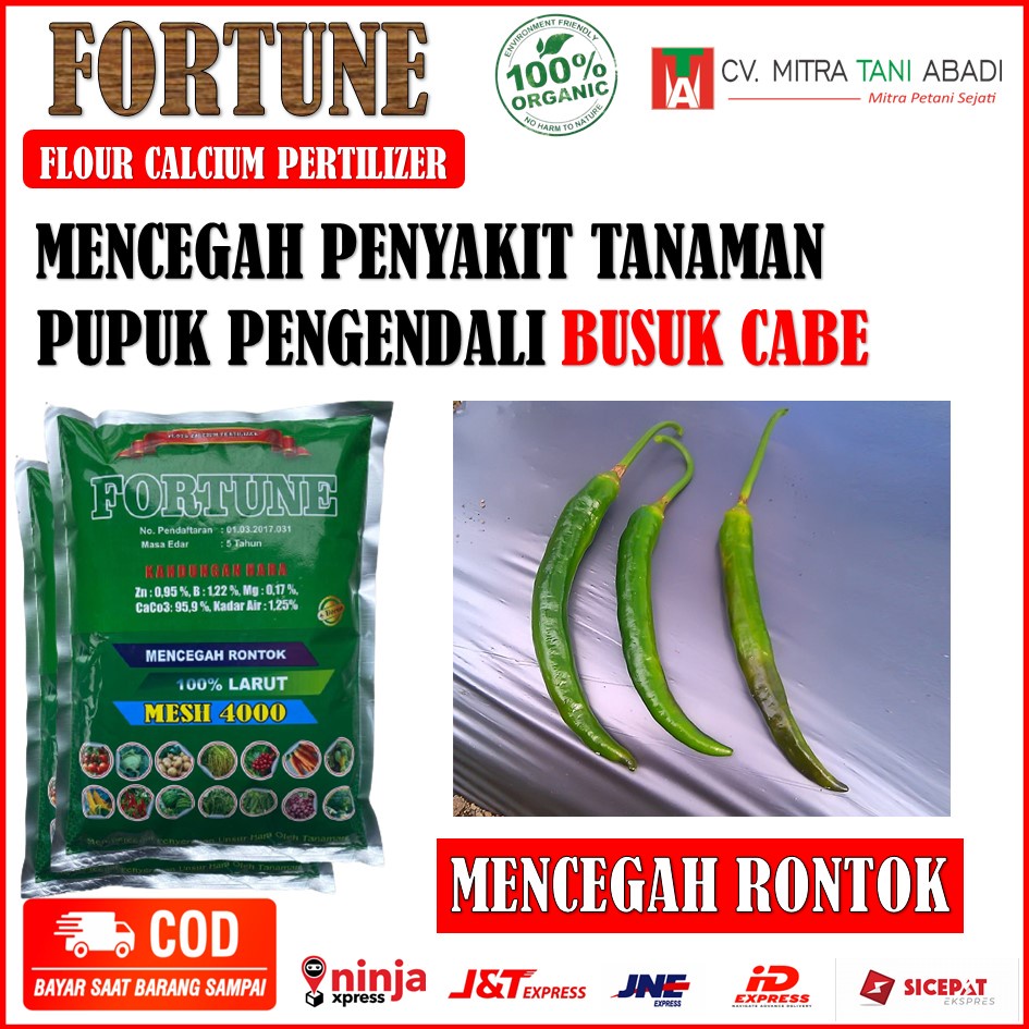PUPUK FORTUNE 1 Kg OBAT SEMPROT ATAU KOCOR Untuk Mengendalikan Busuk Buah Cabe - Pupuk FORTUNE Obat 