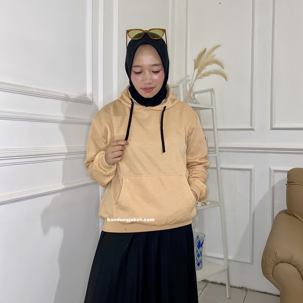 Natural Hoodie Pria WARNA BARU || Hoodie Pria dan wanita || Sweater POLOS