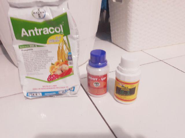 Antracol Kemasan Pabrik 250 Gram ( Fungisida )