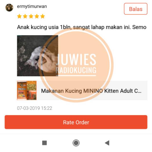 Makanan Kucing Minino Kitten Adult Cat Food All Stage Semua Umur