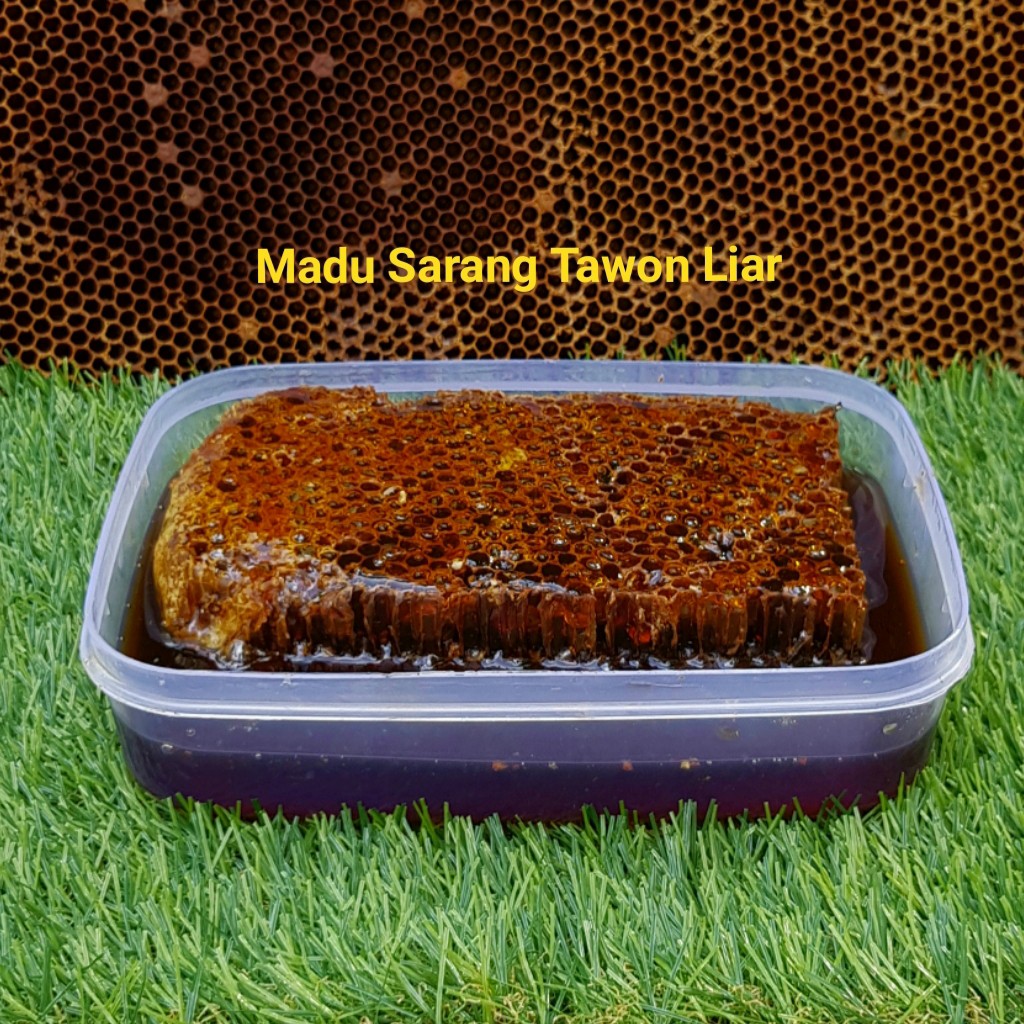 Peternak Madu Sarang Tawon Liar Asli 100 % Harga Agen & Distributor