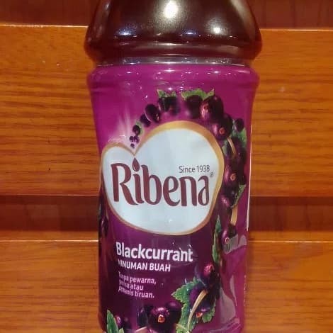 

ribera black currant fruit 500 gram