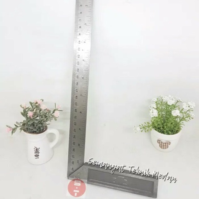 PENGGARIS ( SIKU 30CM ) STAINLES