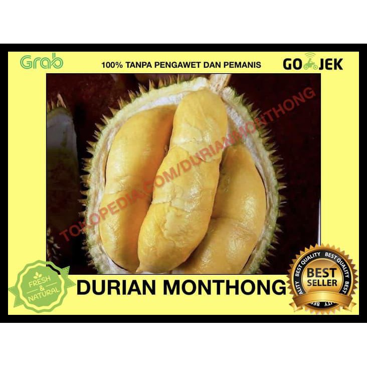 

DISKON! DURIAN MONTONG / MONTHONG THAILAND - 100% MANIS - EXPORT QUALITY