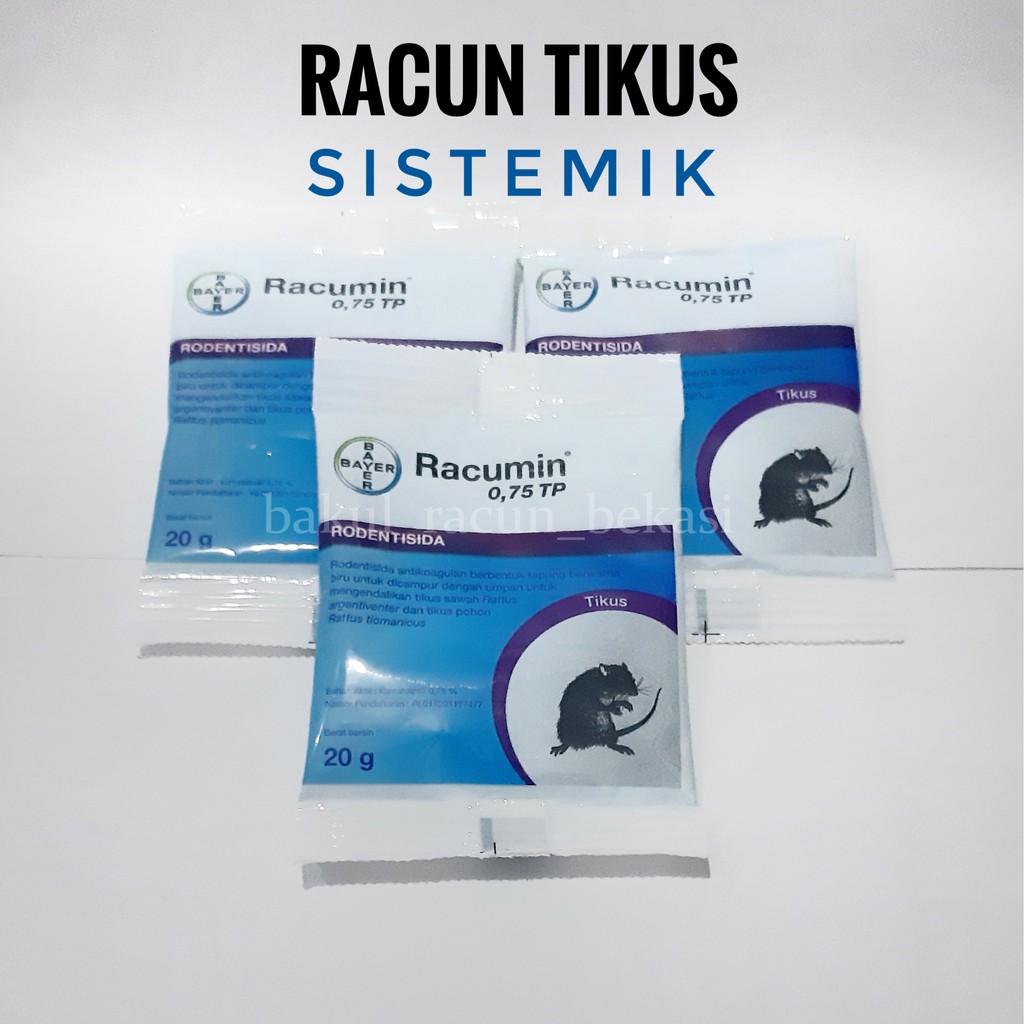 RACUN TIKUS RACUMIN MATI KERING SISTEMIK