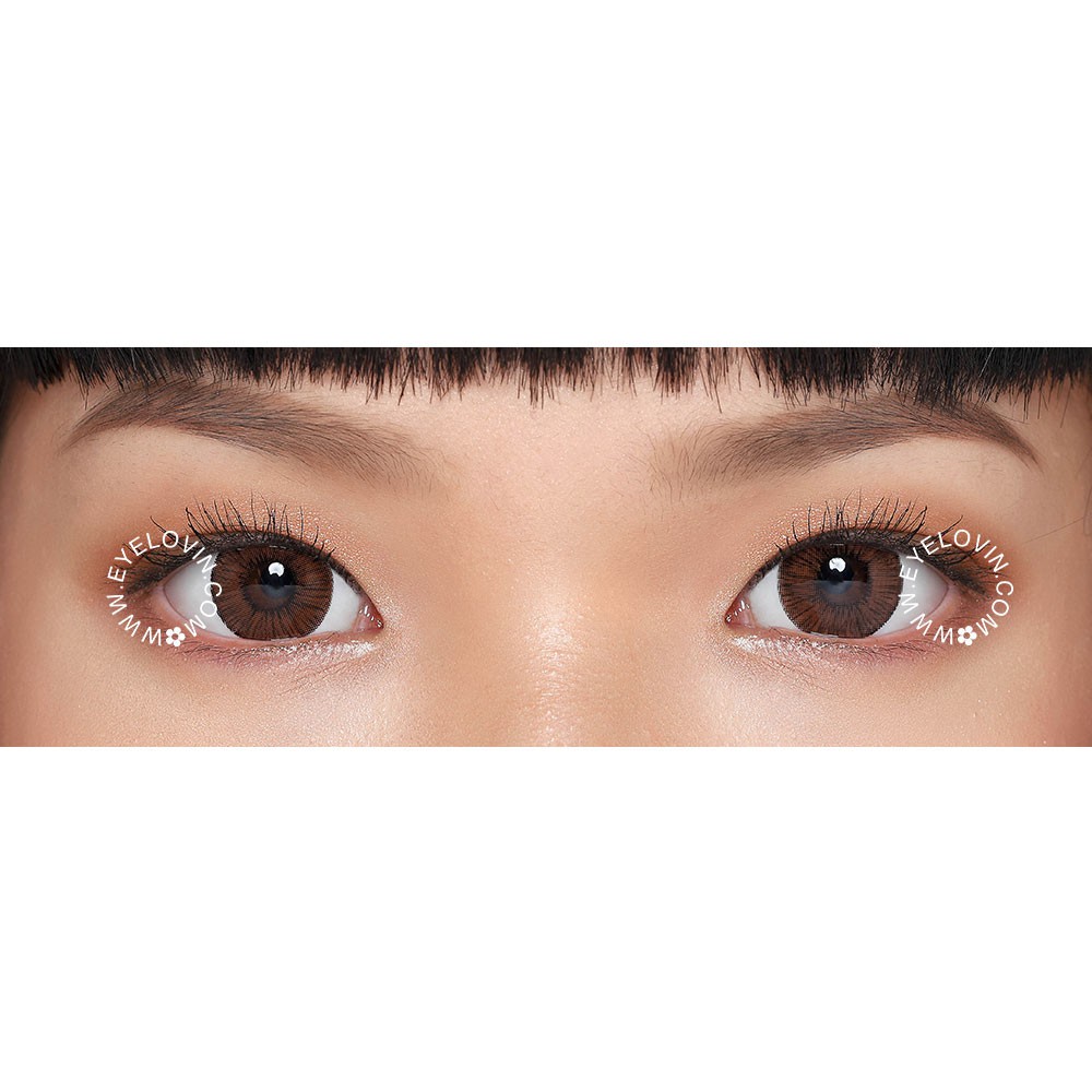 Softlens Avenue - FX Brown