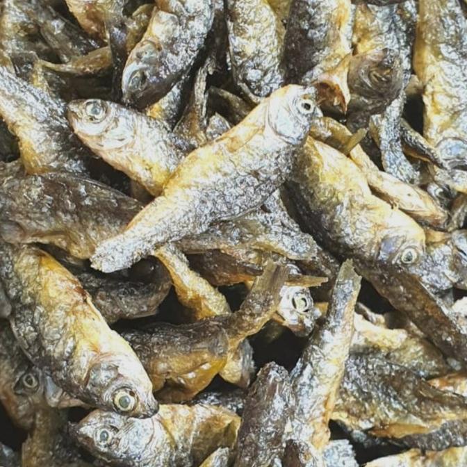 

ikan bilih/bilis danau Singkarak kecil 1kg ---Terbaru---