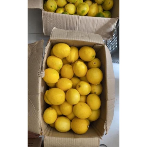 

Lemon california 1 kg/1000gr (6-9 buah tergantung ukuran)