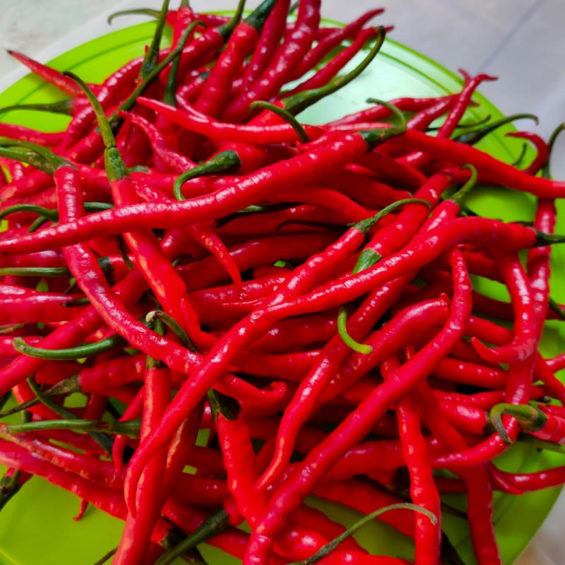 

cabe keriting merah 250gram