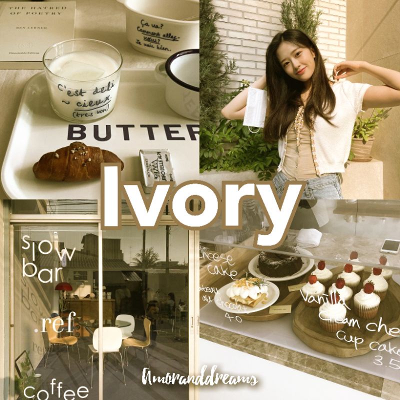 PRESET LIGHTROOM PREMIUM FOR IOS OR ANDROID