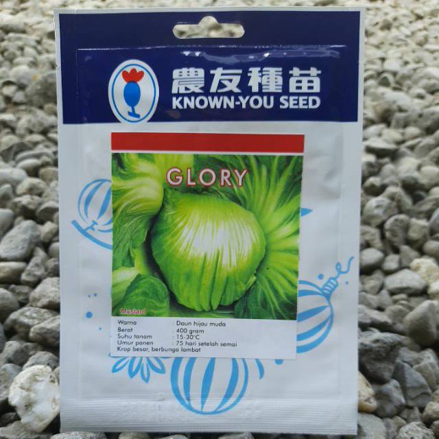 benih sayur sawi pahit GLORY (5 Gr)Known You Seed