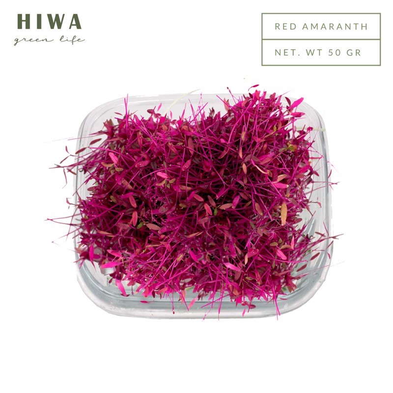 

HIWA Microgreen - Red Amaranth