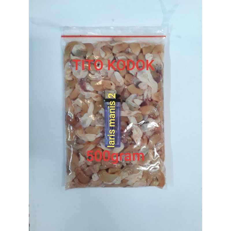 

Tito kodok tito katak tito kodok sawah 500gram