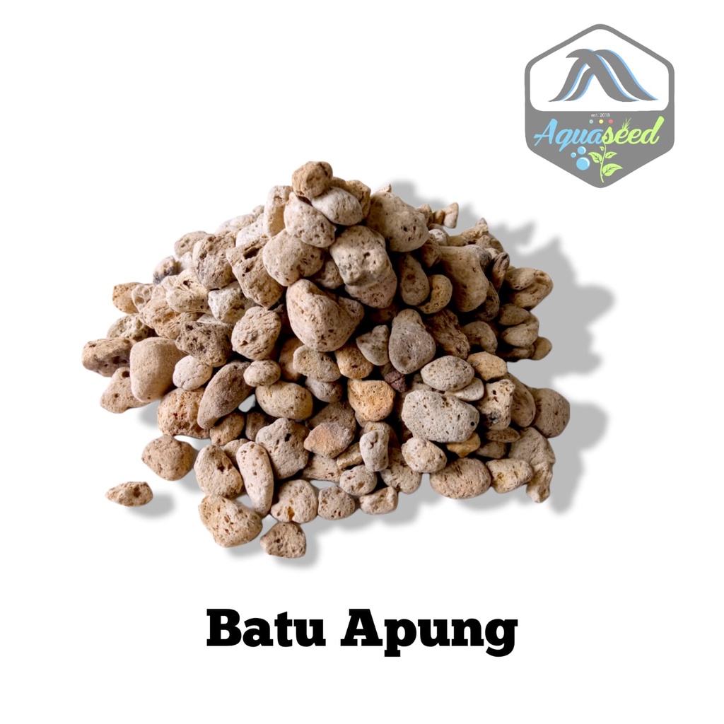 batu apung | media tanam | pumice stone