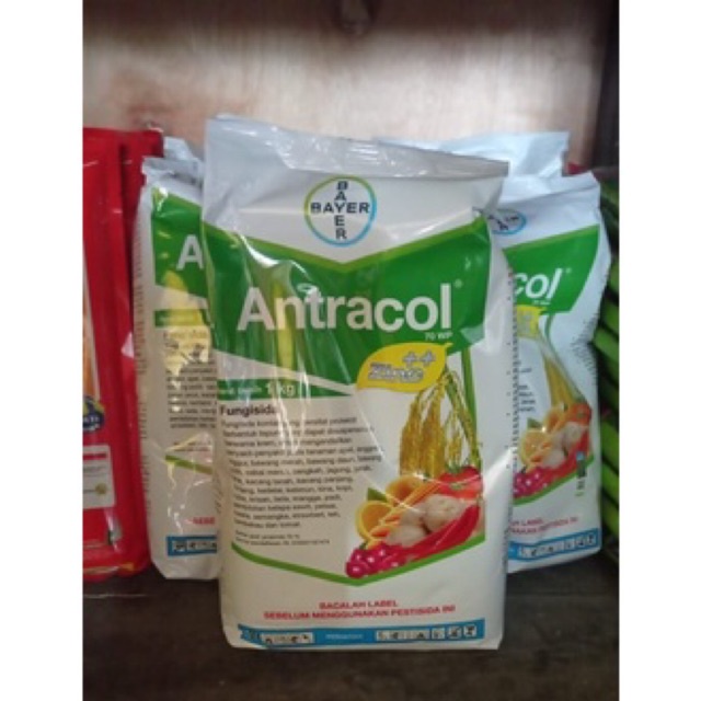 Antracol 70 WP - 1 Kg