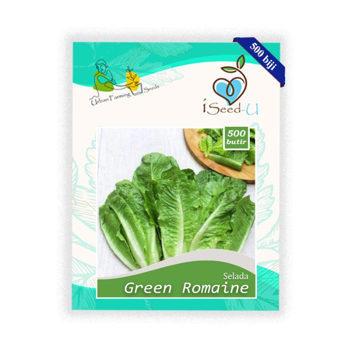 Benih-Bibit Selada Hijau Green Romine (iSeed-U)