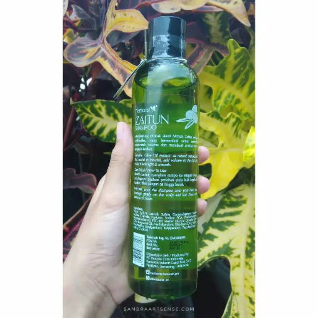 Herborist Sampo Zaitun Olive Shampoo 250ml Shampo