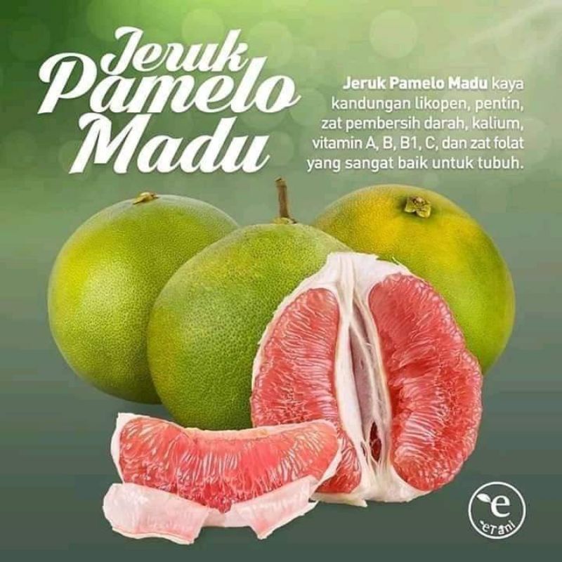 

JERUK PAMELO MADU MURIA 1 BUAH