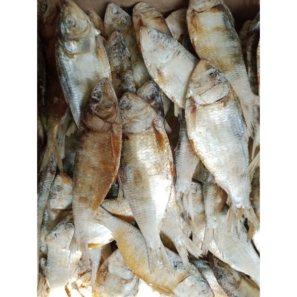 

ikan asin belo 1kg