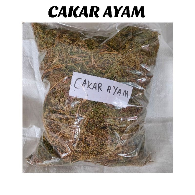 

1KG DAUN CAKAR AYAM KERING ASLI KUALITAS PREMIUM
