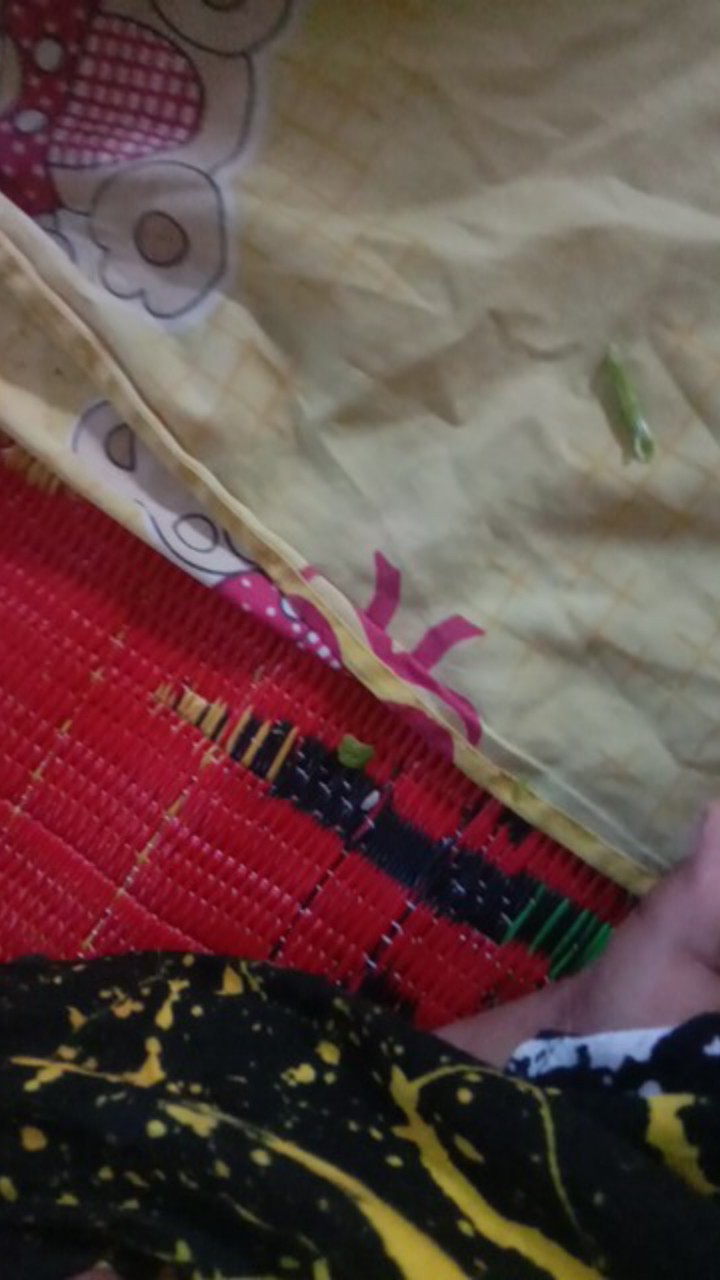 Soflents Kpop Normal 16 Mm Free Tempat