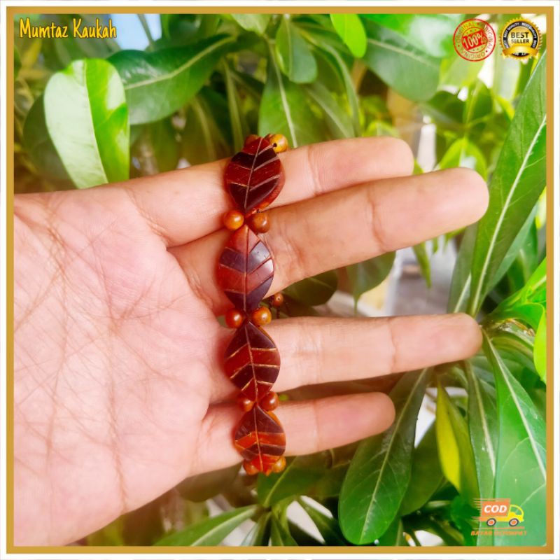 Gelang kaukah daun besar / gelang kaokah / gelang koka / gelang kokka / gelang kaoka / gelang kauka