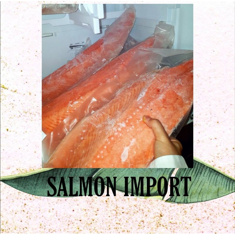 

Ikan Salmon Trout Fresh