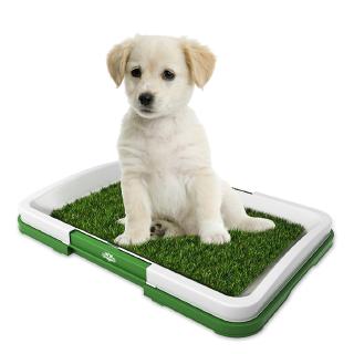 Pet Tray Grass Mat Trainer Potty Toilet Litter House Puppy Indoor Easy To Clean Urinary Pad Dog Pets Mats Shopee Indonesia