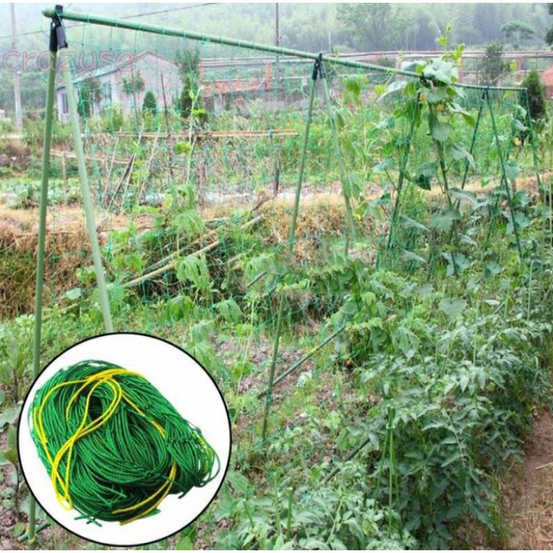 Jaring rambatan tanaman 1mx5m 2mx5m 2mx10m 3mx10m Jaring rambatan tanaman 1mx5m 2mx5m 2mx10m 3mx10m