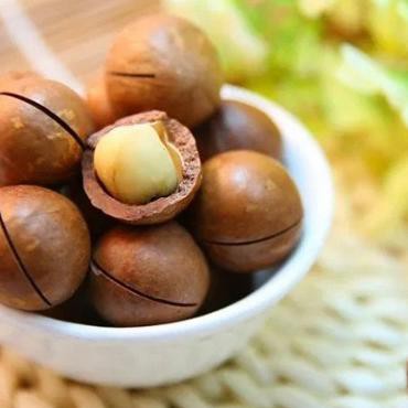 

makanan cemilan sehat snack macadamia - 500 gram