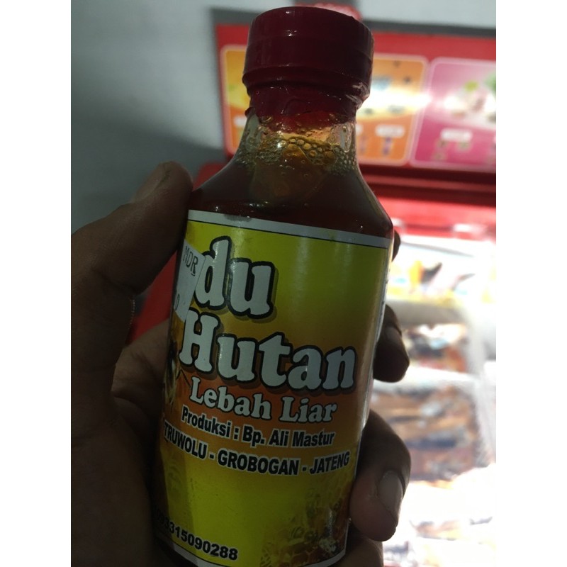 

Madu hutan 100% asli,