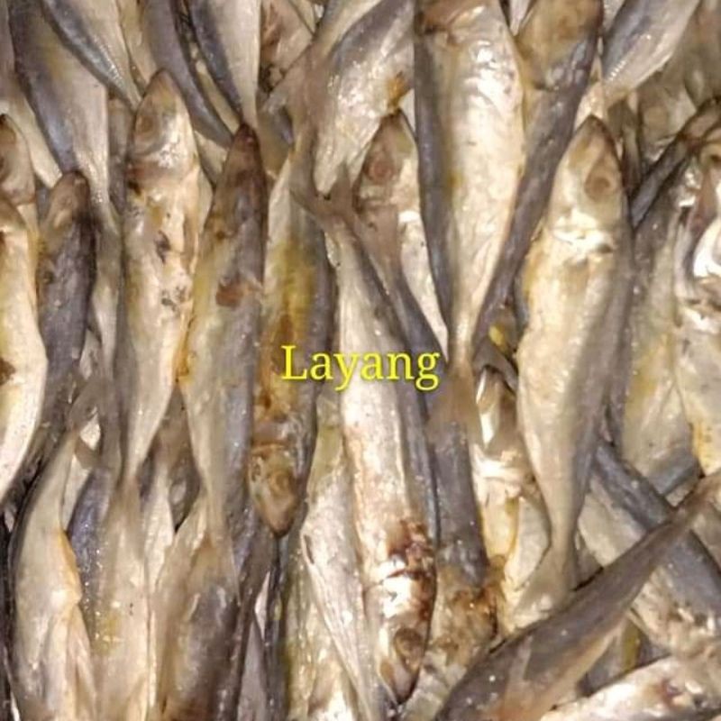 

JAPU_LAYANG