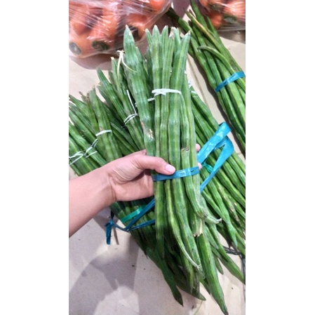 

sayur klentang