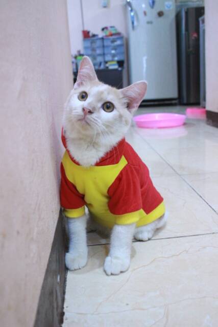 Kostum ayam x naga untuk kucing dan anjing / baju kucing murah size S M L XL